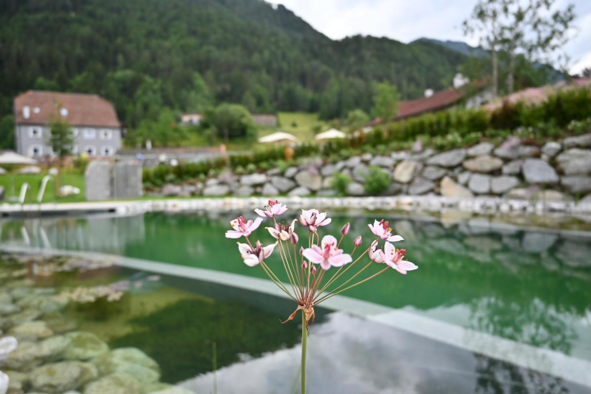 Tilia Living - B&B Mit Dem Komfort Eines Kleinen, Feinen Hotels Ried im Oberinntal Ngoại thất bức ảnh